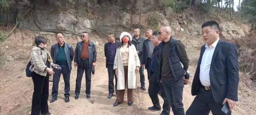 不负春光不负农 科技赋能助力行——简兑天衡土壤改良专家组深入农村指导早稻种植
