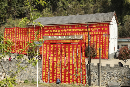 春光不负有心人      乡村振兴正当时