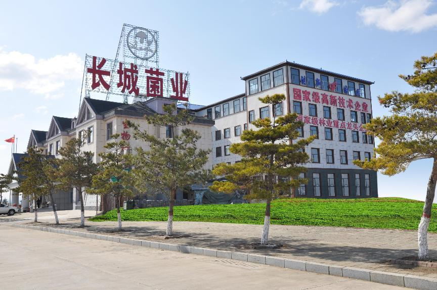 “世界菌王”及长城和他的菌丝文化