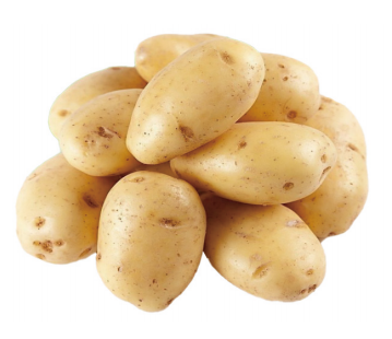 小土豆做大文章